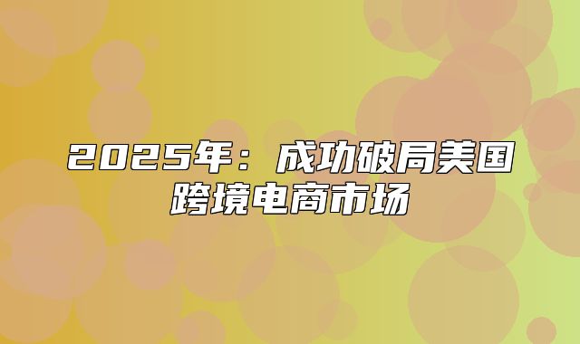 2025年：成功破局美国跨境电商市场