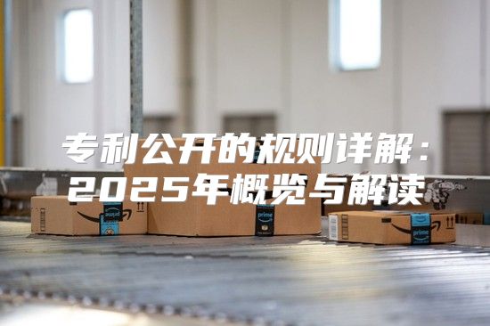 专利公开的规则详解：2025年概览与解读