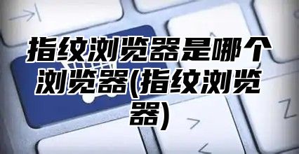指纹浏览器是哪个浏览器(指纹浏览器)