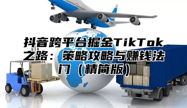 抖音跨平台掘金TikTok之路：策略攻略与赚钱法门精简版