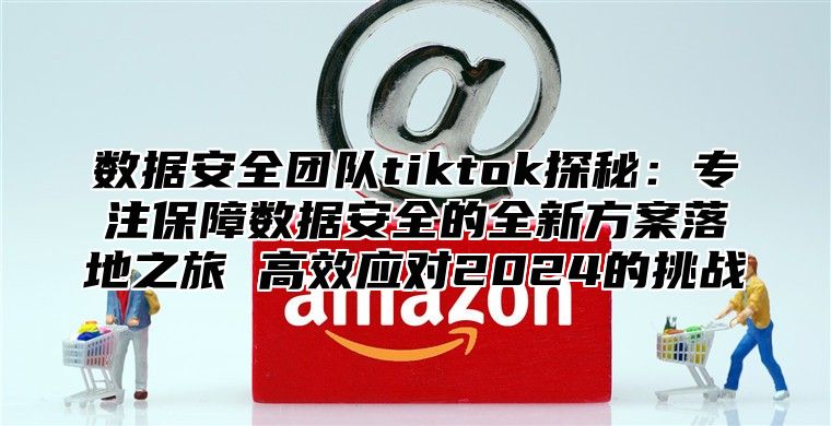 数据安全团队tiktok探秘：专注保障数据安全的全新方案落地之旅 高效应对2025的挑战