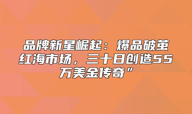 品牌新星崛起：爆品破茧红海市场，三十日创造55万美金传奇”