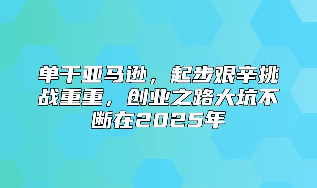 单干亚马逊，起步艰辛挑战重重，创业之路大坑不断在2025年