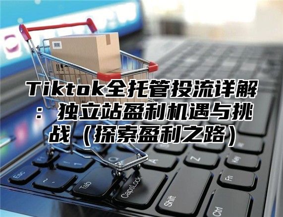Tiktok全托管投流详解：独立站盈利机遇与挑战探索盈利之路