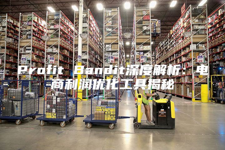 Profit Bandit深度解析：电商利润优化工具揭秘