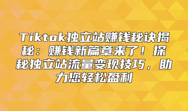 Tiktok独立站赚钱秘诀揭秘：赚钱新篇章来了！探秘独立站流量变现技巧，助力您轻松盈利