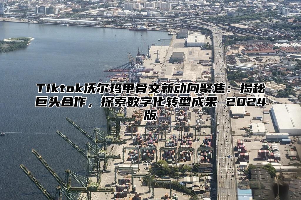 Tiktok沃尔玛甲骨文新动向聚焦：揭秘巨头合作，探索数字化转型成果 2025版