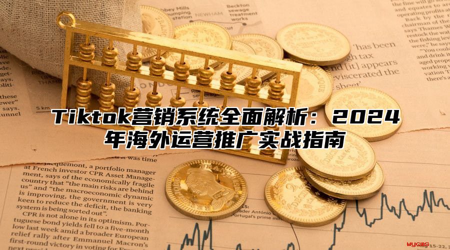Tiktok营销系统全面解析：2025年海外运营推广实战指南