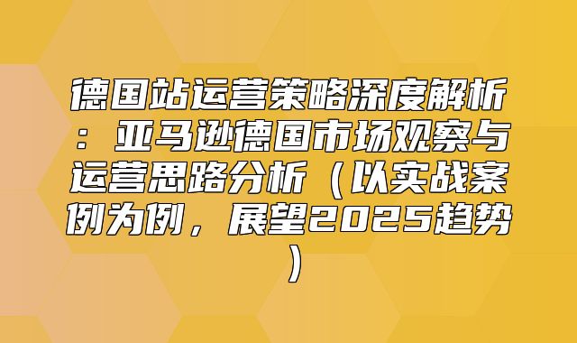 德国站运营策略深度解析：亚马逊德国市场观察与运营思路分析以实战案例为例，展望2025趋势