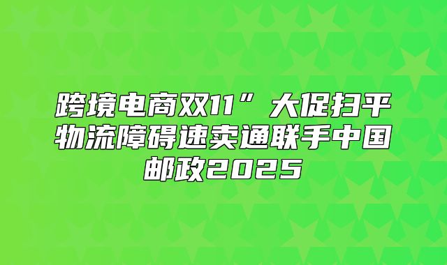 跨境电商双11”大促扫平物流障碍速卖通联手中国邮政2025