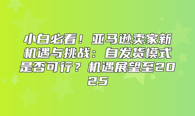 小白必看！亚马逊卖家新机遇与挑战：自发货模式是否可行？机遇展望至2025