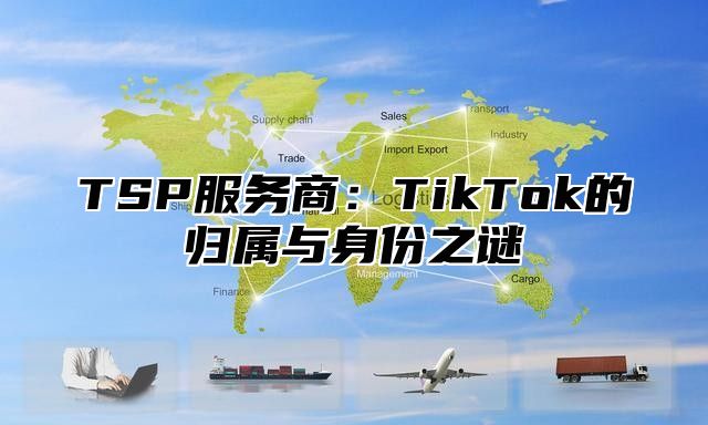 TSP服务商：TikTok的归属与身份之谜