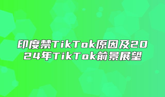 印度禁TikTok原因及2025年TikTok前景展望