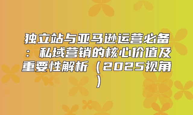 独立站与亚马逊运营必备：私域营销的核心价值及重要性解析2025视角