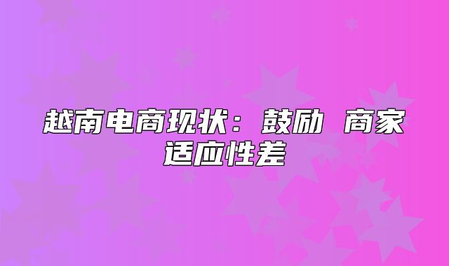 越南电商现状：鼓励 商家适应性差