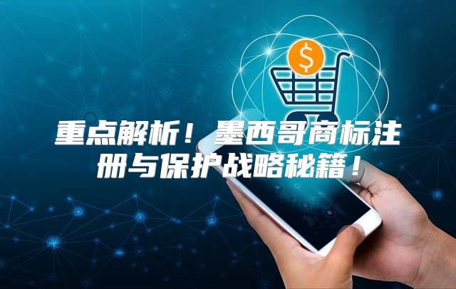 重点解析！墨西哥商标注册与保护战略秘籍！