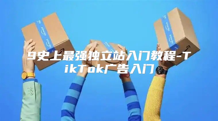 9史上最强独立站入门教程-TikTok广告入门