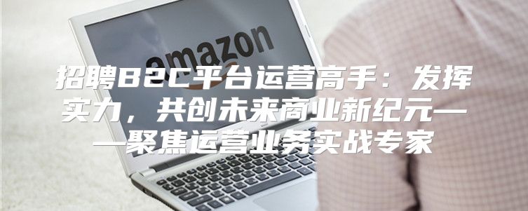 招聘B2C平台运营高手：发挥实力，共创未来商业新纪元——聚焦运营业务实战专家