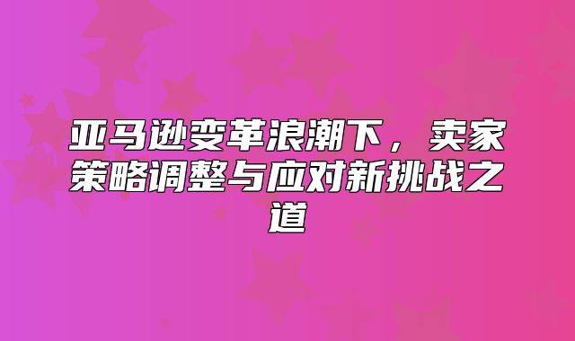 亚马逊变革浪潮下，卖家策略调整与应对新挑战之道