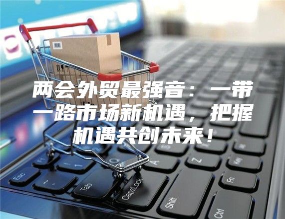 两会外贸最强音：一带一路市场新机遇，把握机遇共创未来！