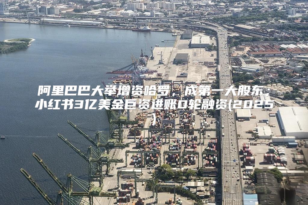 阿里巴巴大举增资哈罗，成第一大股东；小红书3亿美金巨资进账D轮融资(2025)
