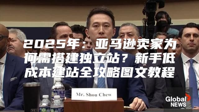 2025年：亚马逊卖家为何需搭建独立站？新手低成本建站全攻略图文教程