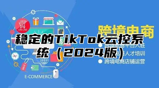 稳定的TikTok云控系统2025版