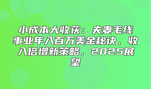 小成本大收获：夫妻毛线事业年入百万美金秘诀，收入倍增新策略，2025展望