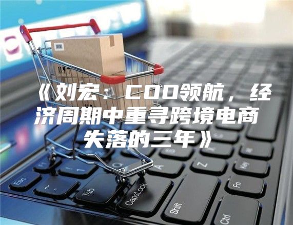 刘宏：COO领航，经济周期中重寻跨境电商失落的三年