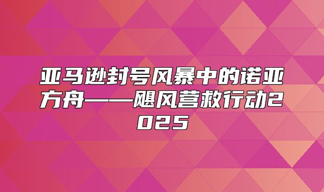 亚马逊封号风暴中的诺亚方舟——飓风营救行动2025