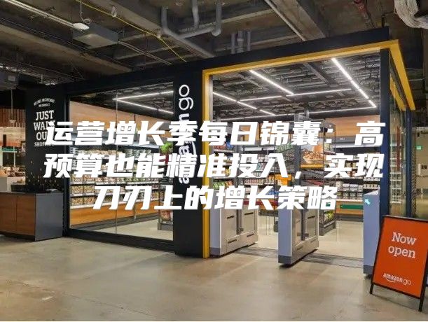 运营增长季每日锦囊：高预算也能精准投入，实现刀刃上的增长策略