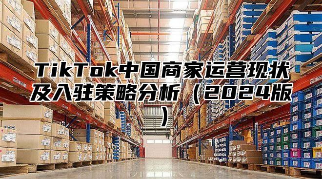 TikTok中国商家运营现状及入驻策略分析2025版