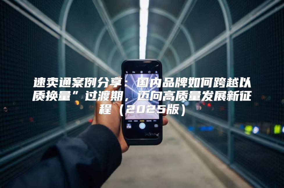 速卖通案例分享：国内品牌如何跨越以质换量”过渡期，迈向高质量发展新征程2025版