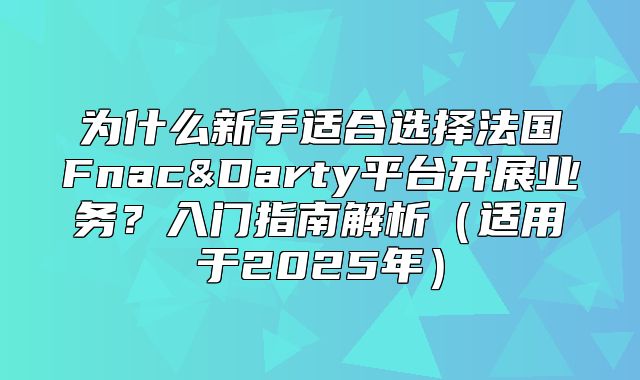 为什么新手适合选择法国Fnac&Darty平台开展业务？入门指南解析适用于2025年