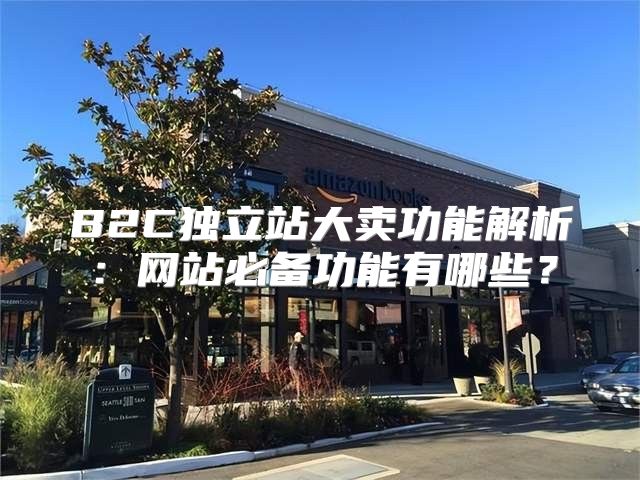 B2C独立站大卖功能解析：网站必备功能有哪些？