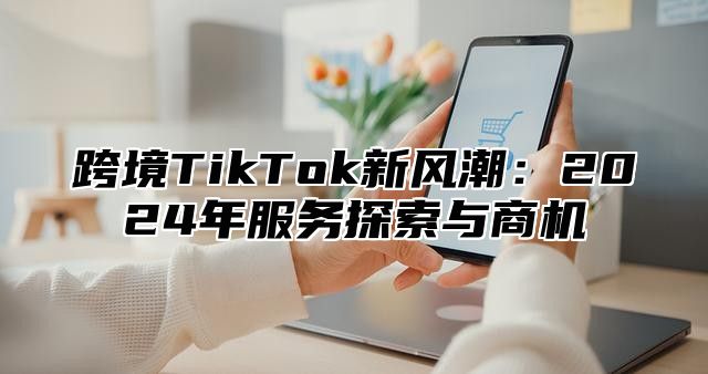 跨境TikTok新风潮：2025年服务探索与商机