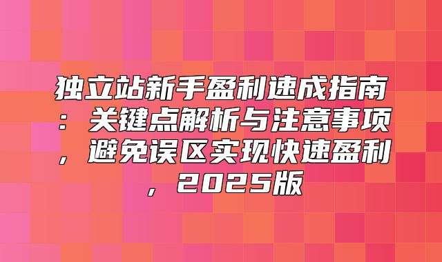 独立站新手盈利速成指南：关键点解析与注意事项，避免误区实现快速盈利，2025版
