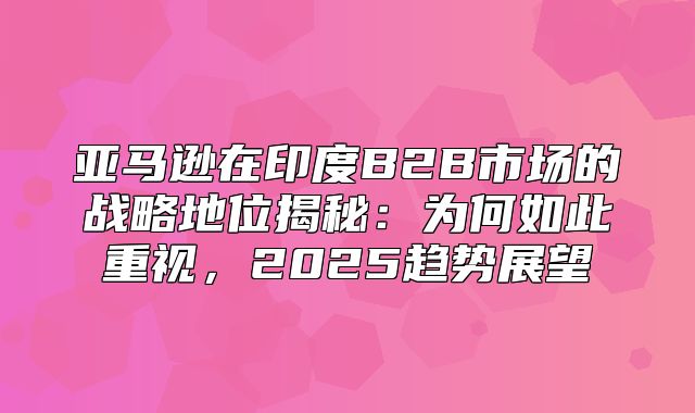 亚马逊在印度B2B市场的战略地位揭秘：为何如此重视，2025趋势展望