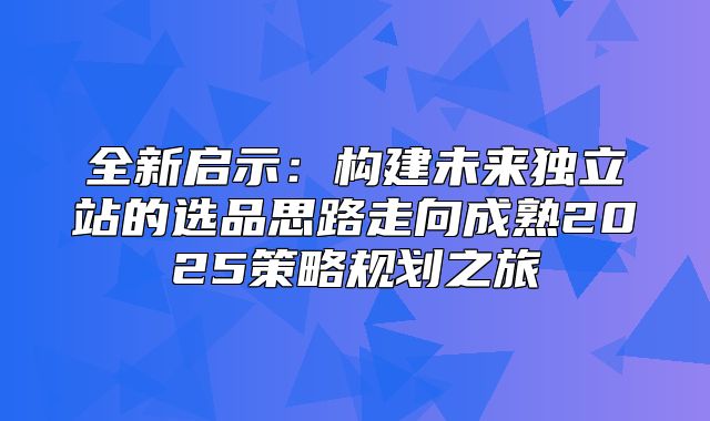 全新启示：构建未来独立站的选品思路走向成熟2025策略规划之旅