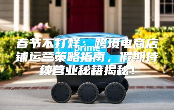 春节不打烊：跨境电商店铺运营策略指南，假期持续营业秘籍揭秘！
