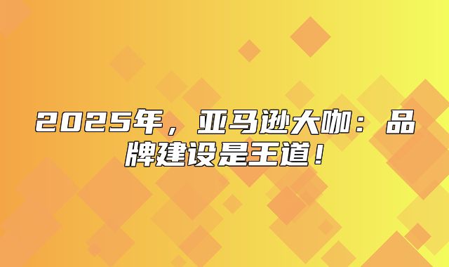 2025年，亚马逊大咖：品牌建设是王道！
