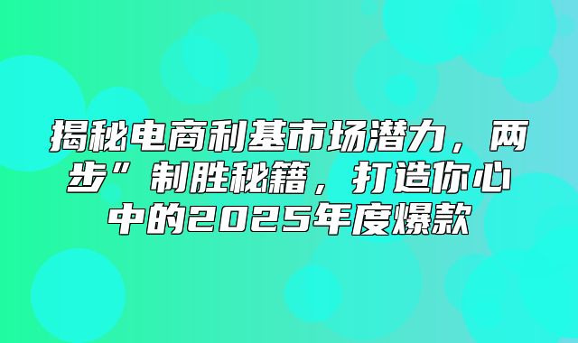 揭秘电商利基市场潜力，两步”制胜秘籍，打造你心中的2025年度爆款