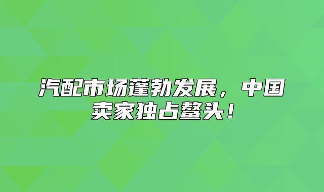 汽配市场蓬勃发展，中国卖家独占鳌头！