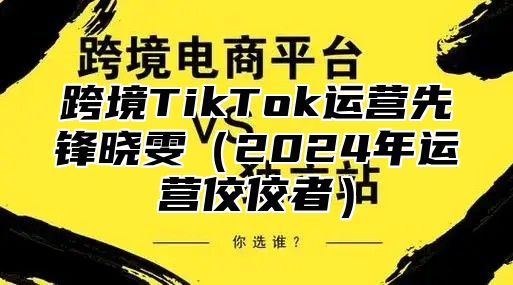 跨境TikTok运营先锋晓雯2025年运营佼佼者
