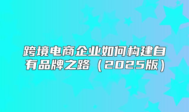 跨境电商企业如何构建自有品牌之路2025版