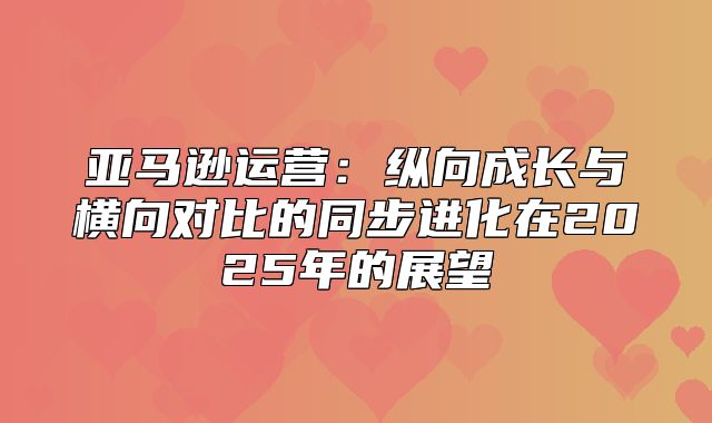 亚马逊运营：纵向成长与横向对比的同步进化在2025年的展望