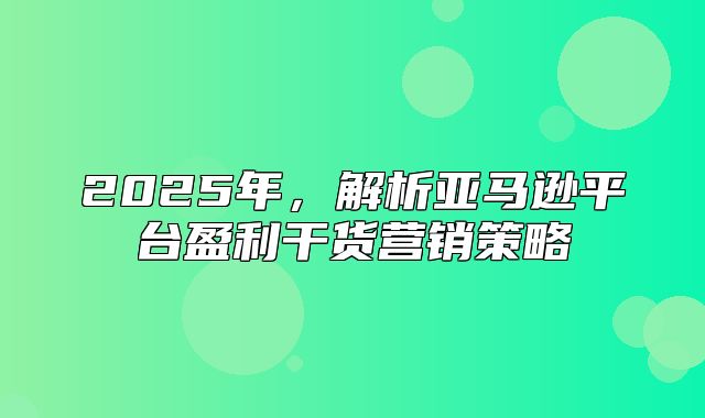 2025年，解析亚马逊平台盈利干货营销策略