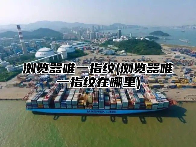 浏览器唯一指纹(浏览器唯一指纹在哪里)