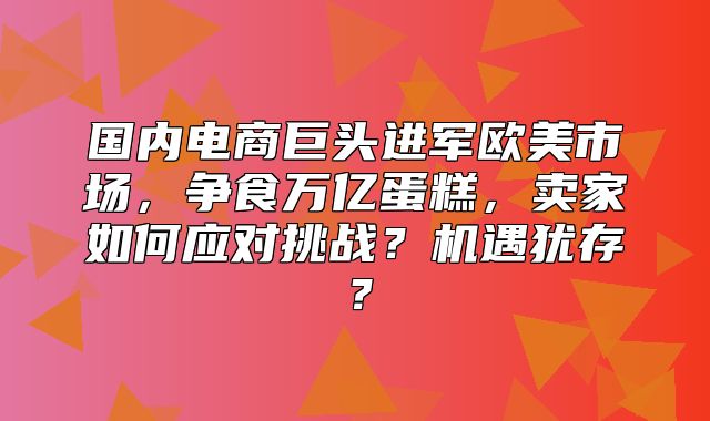 国内电商巨头进军欧美市场，争食万亿蛋糕，卖家如何应对挑战？机遇犹存？