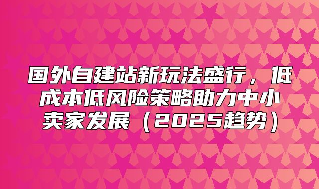 国外自建站新玩法盛行，低成本低风险策略助力中小卖家发展2025趋势